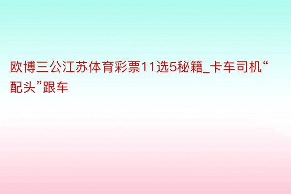 欧博三公江苏体育彩票11选5秘籍_卡车司机“配头”跟车