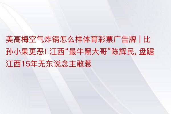 美高梅空气炸锅怎么样体育彩票广告牌 | 比孙小果更恶! 江西“最牛黑大哥”陈辉民， 盘踞江西15年无东说念主敢惹