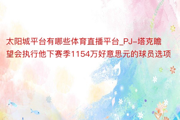 太阳城平台有哪些体育直播平台_PJ-塔克瞻望会执行他下赛季1154万好意思元的球员选项