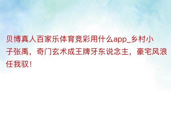 贝博真人百家乐体育竞彩用什么app_乡村小子张禹，奇门玄术成王牌牙东说念主，豪宅风浪任我驭！